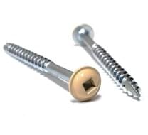 Round Washer Head Screws